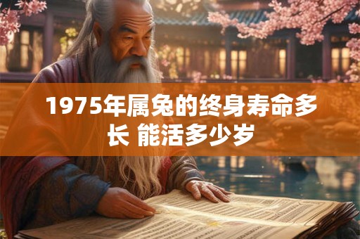 1975年属兔的终身寿命多长 能活多少岁