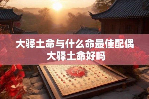 大驿土命与什么命最佳配偶 大驿土命好吗