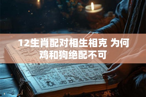 12生肖配对相生相克 为何鸡和狗绝配不可