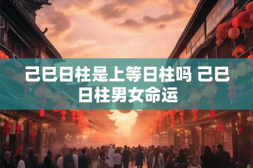 己巳日柱是上等日柱吗 己巳日柱男女命运 己巳日柱是上等日柱吗 己巳日柱男女命运