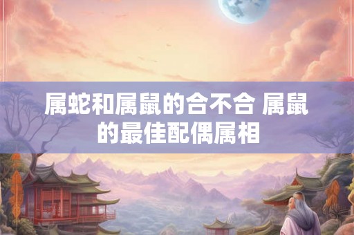 属蛇和属鼠的合不合 属鼠的最佳配偶属相 属蛇和属鼠的合不合 属鼠的最佳配偶属相