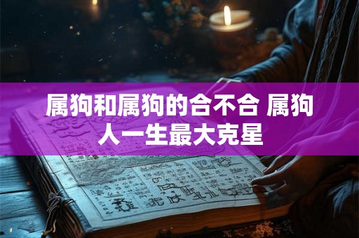 属狗和属狗的合不合 属狗人一生最大克星