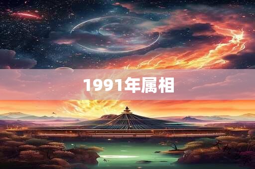 1991年属相