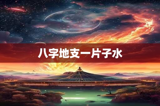 八字地支一片子水