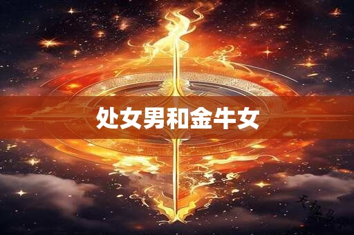 处女男和金牛女