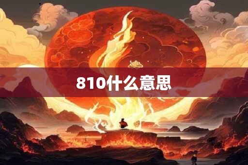 810什么意思