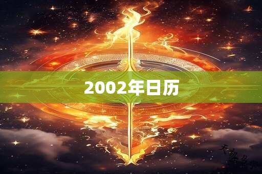 2002年日历