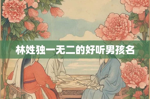 林姓独一无二的好听男孩名