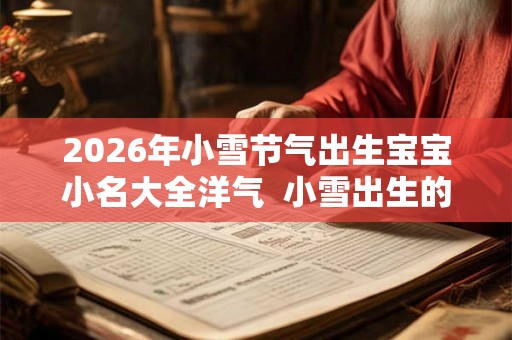 2026年小雪节气出生宝宝小名大全洋气  小雪出生的宝宝名字