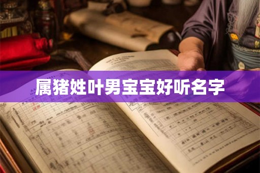 属猪姓叶男宝宝好听名字