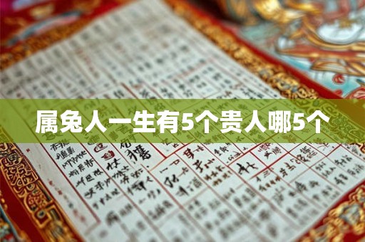 属兔人一生有5个贵人哪5个