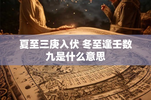 夏至三庚入伏 冬至逢壬数九是什么意思