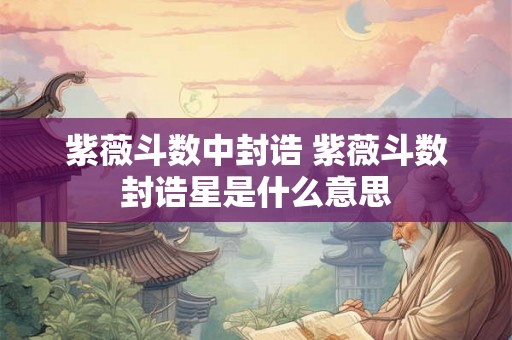 紫薇斗数中封诰 紫薇斗数封诰星是什么意思