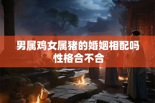 男属鸡女属猪的婚姻相配吗 性格合不合