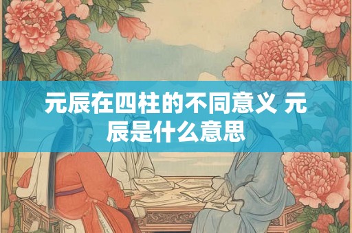 元辰在四柱的不同意义 元辰是什么意思