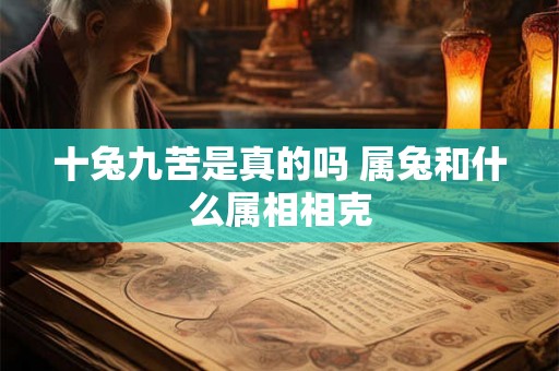 十兔九苦是真的吗 属兔和什么属相相克
