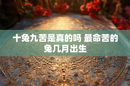 十兔九苦是真的吗 最命苦的兔几月出生