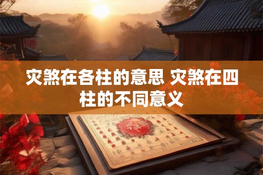 灾煞在各柱的意思 灾煞在四柱的不同意义