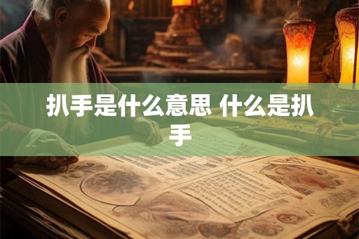 扒手是什么意思 什么是扒手