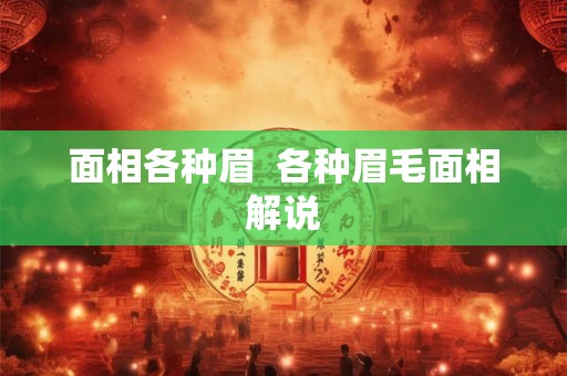 面相各种眉  各种眉毛面相解说