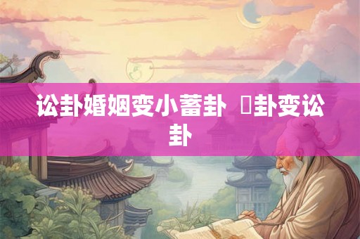 讼卦婚姻变小蓄卦  姤卦变讼卦