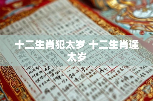十二生肖犯太岁 十二生肖逢太岁