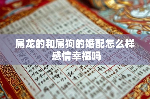 属龙的和属狗的婚配怎么样 感情幸福吗