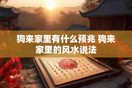 狗来家里有什么预兆 狗来家里的风水说法