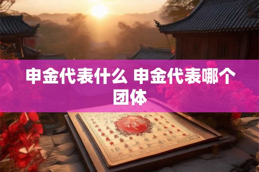 申金代表什么 申金代表哪个团体 申金代表什么 申金代表哪个团体