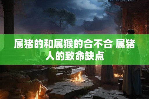 属猪的和属猴的合不合 属猪人的致命缺点