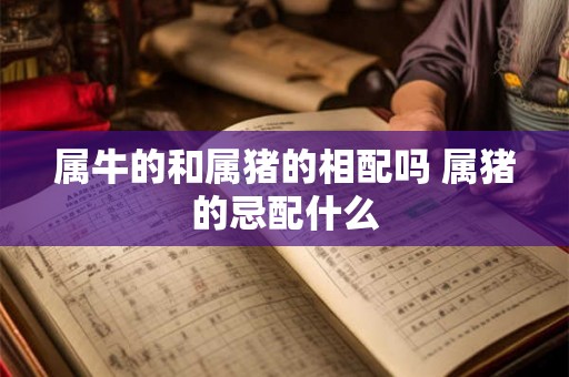 属牛的和属猪的相配吗 属猪的忌配什么