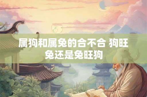 属狗和属兔的合不合 狗旺兔还是兔旺狗 属狗和属兔的合不合 狗旺兔还是兔旺狗
