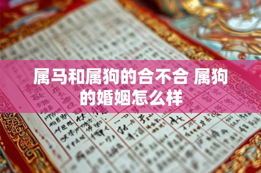 属马和属狗的合不合 属狗的婚姻怎么样 属马和属狗的合不合 属狗的婚姻怎么样