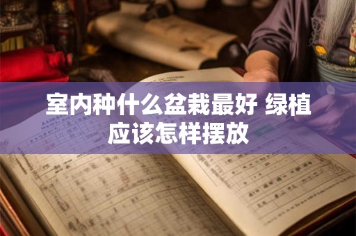 室内种什么盆栽最好 绿植应该怎样摆放