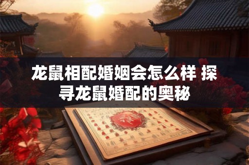 龙鼠相配婚姻会怎么样 探寻龙鼠婚配的奥秘