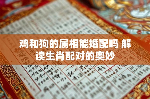 鸡和狗的属相能婚配吗 解读生肖配对的奥妙 鸡和狗的属相能婚配吗 解读生肖配对的奥妙