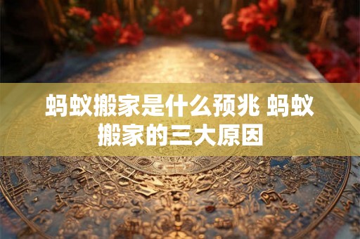 蚂蚁搬家是什么预兆 蚂蚁搬家的三大原因