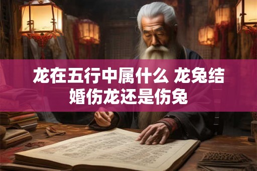龙在五行中属什么 龙兔结婚伤龙还是伤兔
