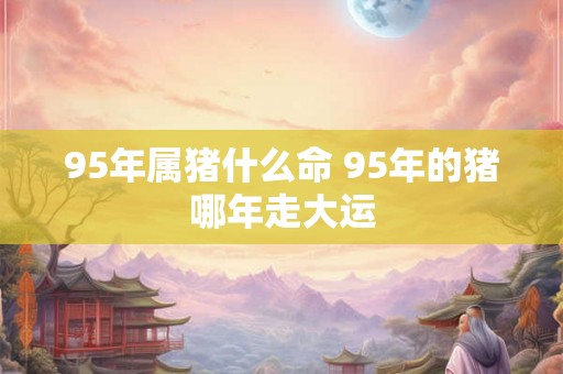 95年属猪什么命 95年的猪哪年走大运 95年属猪什么命 95年的猪哪年走大运