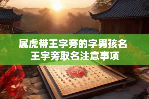 属虎带王字旁的字男孩名 王字旁取名注意事项 属虎带王字旁的字男孩名 王字旁取名注意事项