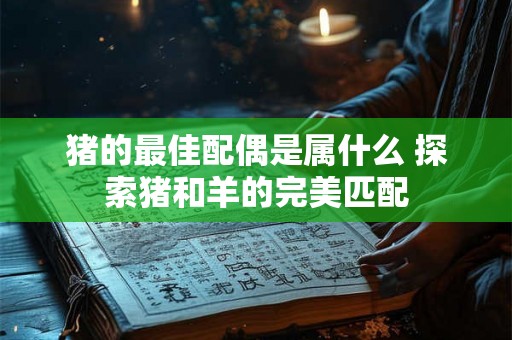 猪的最佳配偶是属什么 探索猪和羊的完美匹配 猪的最佳配偶是属什么 探索猪和羊的完美匹配