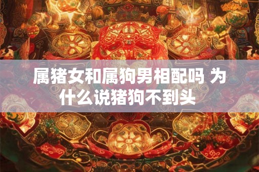 属猪女和属狗男相配吗 为什么说猪狗不到头 