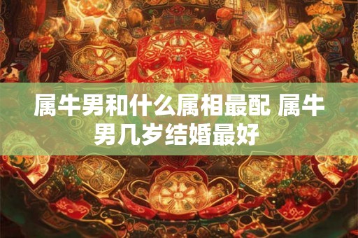 属牛男和什么属相最配 属牛男几岁结婚最好 