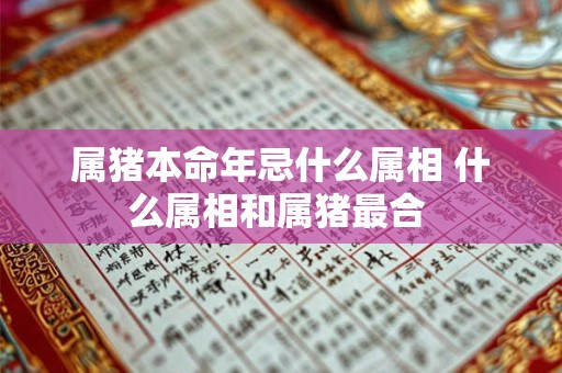 属猪本命年忌什么属相 什么属相和属猪最合 