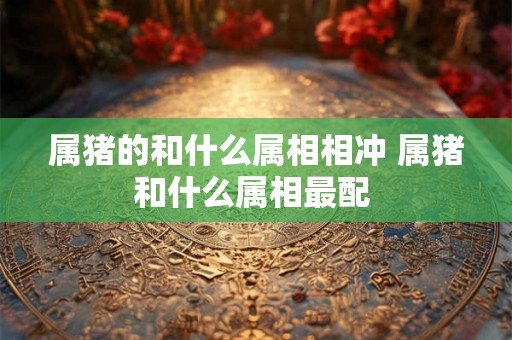 属猪的和什么属相相冲 属猪和什么属相最配 属猪的和什么属相相冲 属猪和什么属相最配