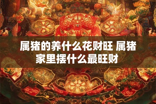 属猪的养什么花财旺 属猪家里摆什么最旺财 属猪的养什么花财旺 属猪家里摆什么最旺财