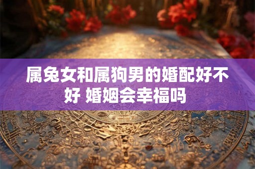 属兔女和属狗男的婚配好不好 婚姻会幸福吗 