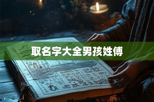 取名字大全男孩姓傅 取名字大全男孩姓傅
