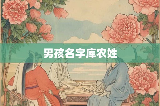 男孩名字库农姓 男孩名字库农姓
