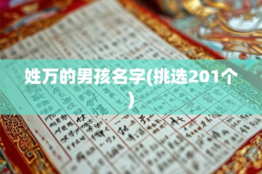 姓万的男孩名字(挑选201个)